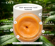 Load image into Gallery viewer, Deep Moisture Face Pudding
